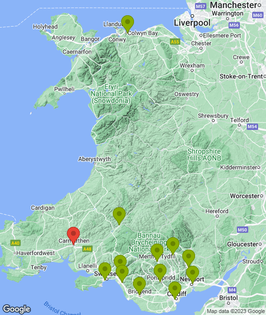 Carmarthen Quins_league.png